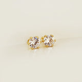 TOPOS CIRCON BRILLANTE GRANDES